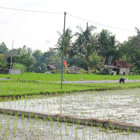 Permana Ubud Cottage Exterior photo