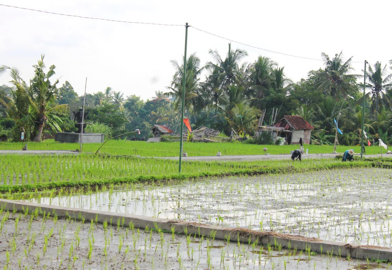 Permana Ubud Cottage Exterior photo